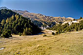 Sentiero naturalistico del Lucomagno (Svizzera). Paesaggio delle golene del Brenno